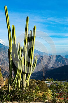 Los colores de la naturaleza