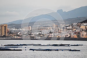 Los Cristianos Ocean Town