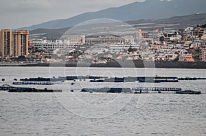 Los Cristianos Ocean Town