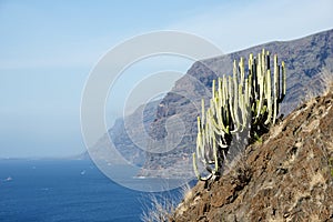 Los gigantos on tenerife