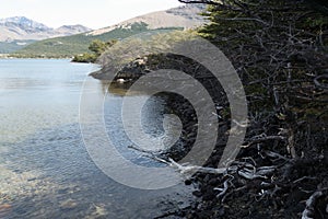 los glaciares national park in argentinian patagonia