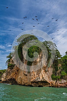 Los Haitises National Park vertical photo