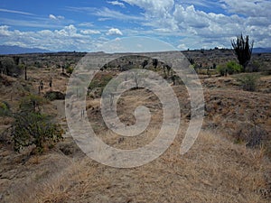 Los Hoyos, the Grey Desert, part of Tatacoa Desert photo