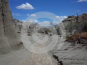 Los Hoyos, the Grey Desert, part of Tatacoa Desert photo