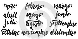 Los meses - months in spanish, hand drawn latin lettering quote isolated photo