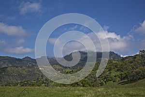 Los Padres National Forest Figueroa Mountain