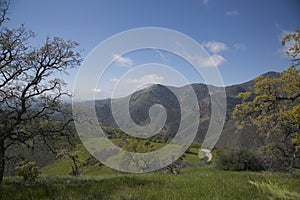 Los Padres National Forest Figueroa Mountain