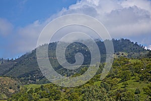 Los Padres National Forest Figueroa Mountain photo