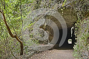 Los Tilos Trail Tunnel, La Palma