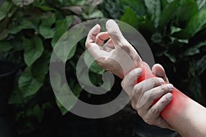 Lose up hand of person feel pain after work in garden. photo