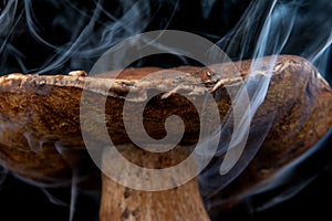 Ð¡lose-up mushroom cap in smoke. Isolated on black background.