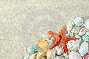 Lose up of starfish and seashells on white sand background with white coarse sand