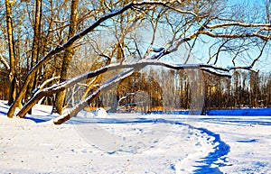 Loshitsa park, Minsk Belarus