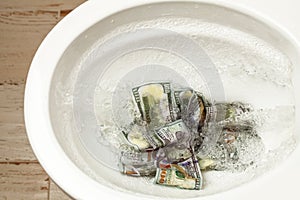 Loss of money. Bad investment or investment. Cash dollars are flushed into the toilet