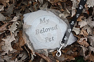 Loss of a Pet in Fall