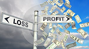 Guideposts: LOSS or PROFIT photo