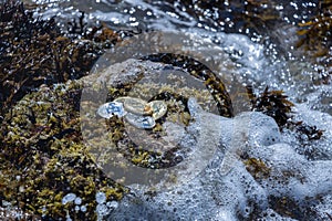 Lost Bitcoins Washed Away in Tide