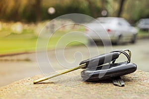 Lost car keys on the fallen needles of blue spruce. back blur background bokeh