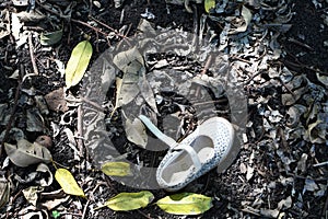 Lost child\'s single shoe on the forest\'s ground. Lost, missing child