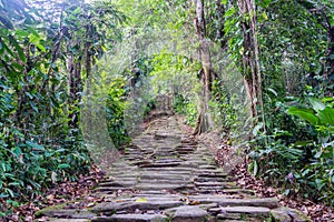 Lost City Stairs