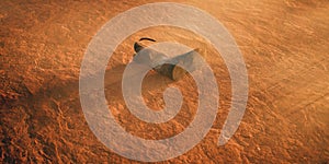 Lost cowboy boot in desolate desert landscape.