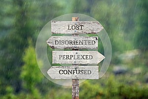 Lost disoriented perplexed confused text on wooden signpost outdoors in the rain photo