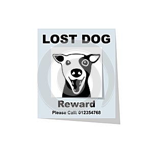 Lost dog. Reward for the find. Missing poster