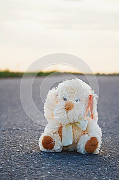 Lost dog toy sitting alone on the asphalt road