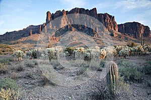 Lost Dutchman's State Park, Arizona