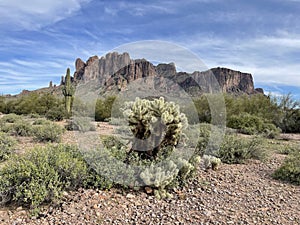 Lost Dutchman State Park, Apache Junction, Arizona. USA