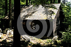 Lost house in Baza 20, Kocevski rog