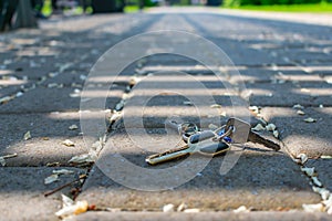 Lost house keys lying on the sidewalk in the shade