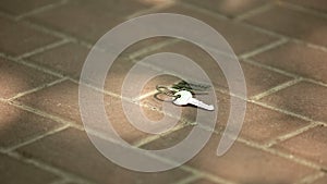 Lost keys from home lying on floor, carelessness and inattentiveness concept photo