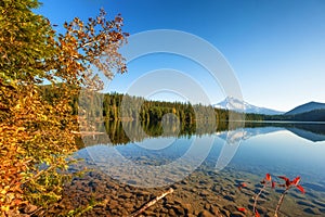 Lost Lake Mt. Hood National Forest