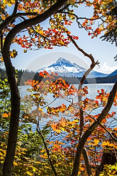 Lost lake north viewpoint in Autumn with Mt hood background