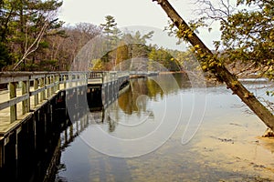 Lost Lake Trail