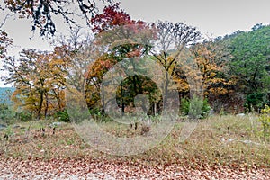 Lost Maples State Park in Texas