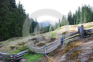 Lost in Mt Rainier National Park Washington