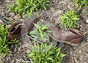 Lost pair of brown leather shoes on the ground