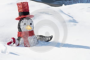 A lost Penguin in the snow