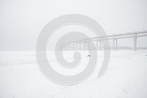 Lost road in winter with no people, overpass highway in snow