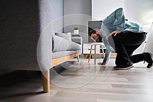 Lost Something Looking For Things