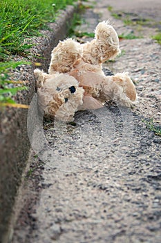 Lost Teddy Bear