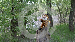 Lost Tiger Cub Soft Toy Abandoned on an Old Stump in a Deciduous Forest