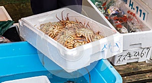 Lot of alaska king crab in box for sale at Nagoya Fish market