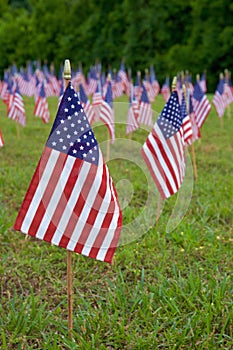 A lot of american flags