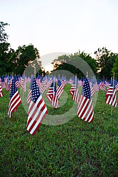 A lot of american flags