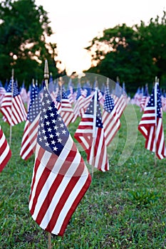 A lot of american flags