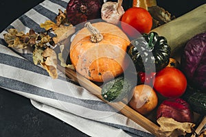 lot of autumn fresh vegetables, pumpkins, tomatoes, cabbage, zucchini, onions, dry fallen leaves, cucumber, garlic