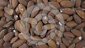 Lot of bad culled almond nuts background in pile in agricultural market.